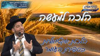 הלכה למעשה- הלכות אקטואליות בספירת העומר- הרב אפרים שרבני