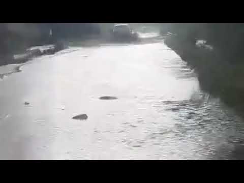 Filmare cu viitura din dintre Moigrad și Brebi‼️ 8.05.2022 Video: Iordache Ciprian