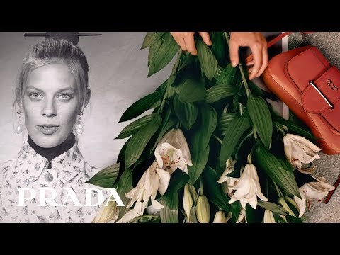 Prada Resort 2020 - #PradaSeditiousSimplicity - Instruction