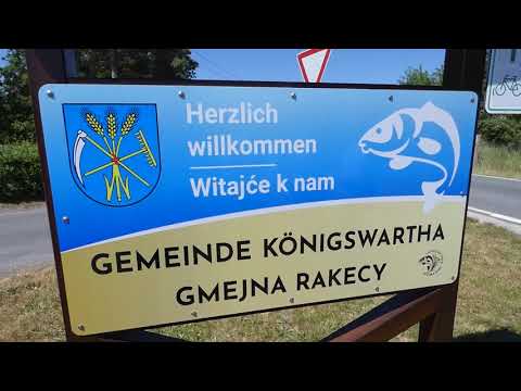 Königswartha: Renaissance für den „Lausitzer Fisch“ - LAUSITZWELLE