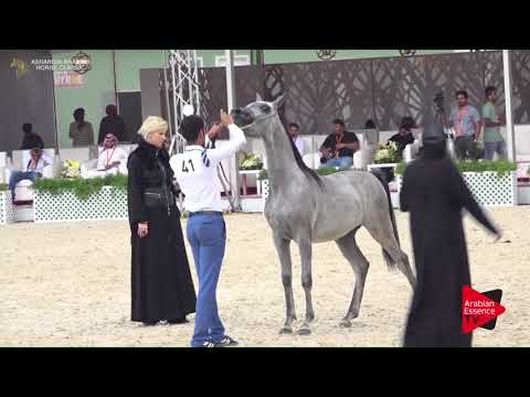 N.41 MUTIEA AL KHALED - Asharqia Classic 2018