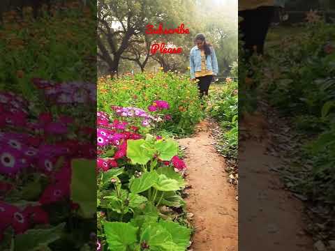 Param Sundari With Flowers #Paramsundari  #Flowers #Varshasingh