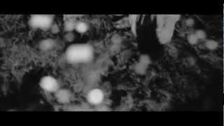 Evanescence - Understanding (Music Video)