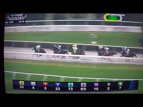 JUDDMONTE SPINSTER (G1) STAKES $500,000 2017 - ROMANTIC VISION !!