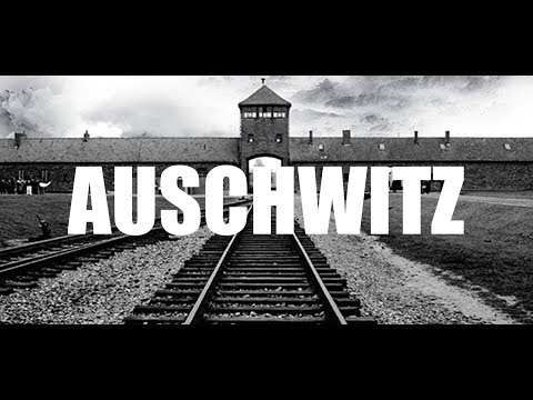 162-IT Eletra, 1º protocollo investigazione: AUSCHWITZ - Ipnosi Claudia Pani