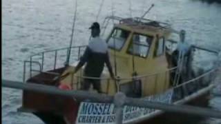 preview picture of video 'Mossel Bay Deep Sea Fishing'