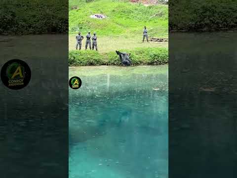 guys check this out, watch to the end, 👍💪