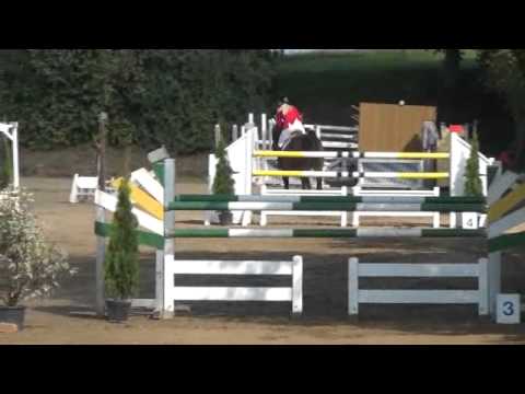 Sportpferde-ASG Batida du Rouet - 2. Platz Punkte M** Springen Guenzburg 9-2012