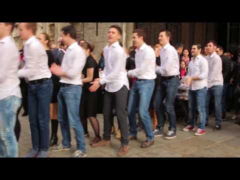 Flashmob - Marry You - Heiratsantrag Stephansplatz Wien