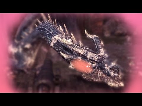 Fatalis, the cute and deadly fat snake