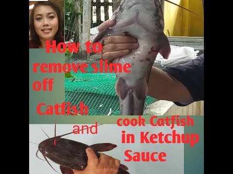 , title : 'How to remove slime off catfish and cook catfish in ketchup sauce Sarawak style'