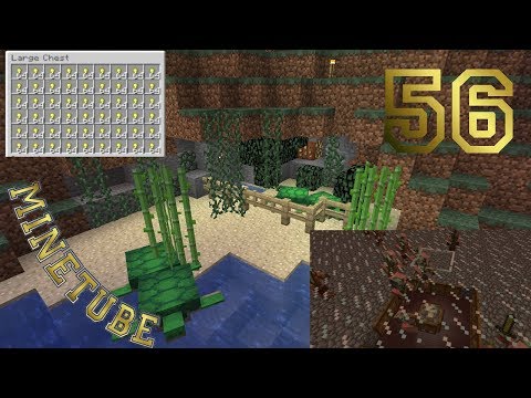 ep#56 - farm d'oro con le uova [easy] - MineTube (minecraft ita)