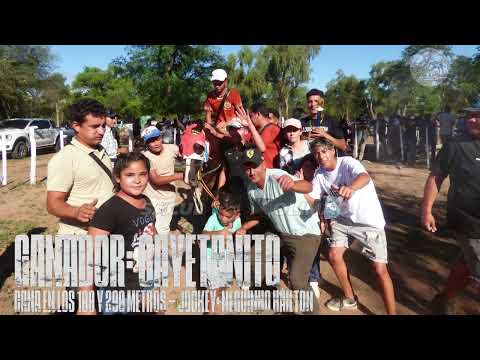 CAYETANITO VS DANILO REVANCHA