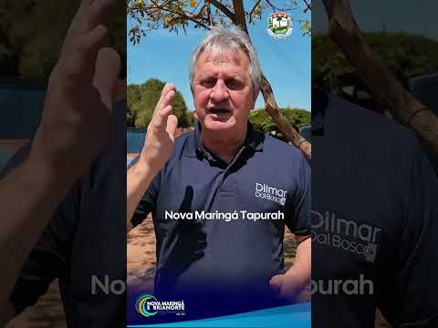 Imagem - NOVA MARINGÁ: 33,5 KM DA MT-488 SERÃO PAVIMENTADOS! 