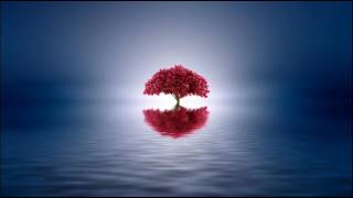Jose Amnesia vs. Serp - Second Day (Martin Roth Remix) ·2005·