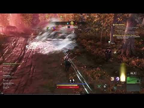 New world (open beta) PVP TANK VS MOBILITY DPS