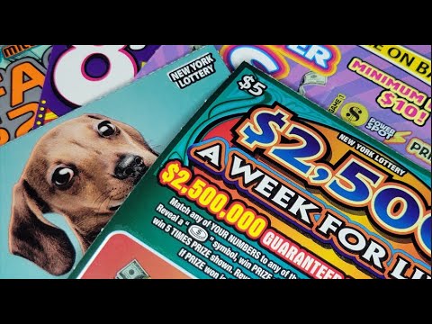 Bought Five $5 Scratch Cards...Lets Go!