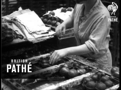 More Tennis Trifles (1931)