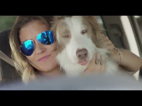 Kyle Park - Come On (Official Music Video)
