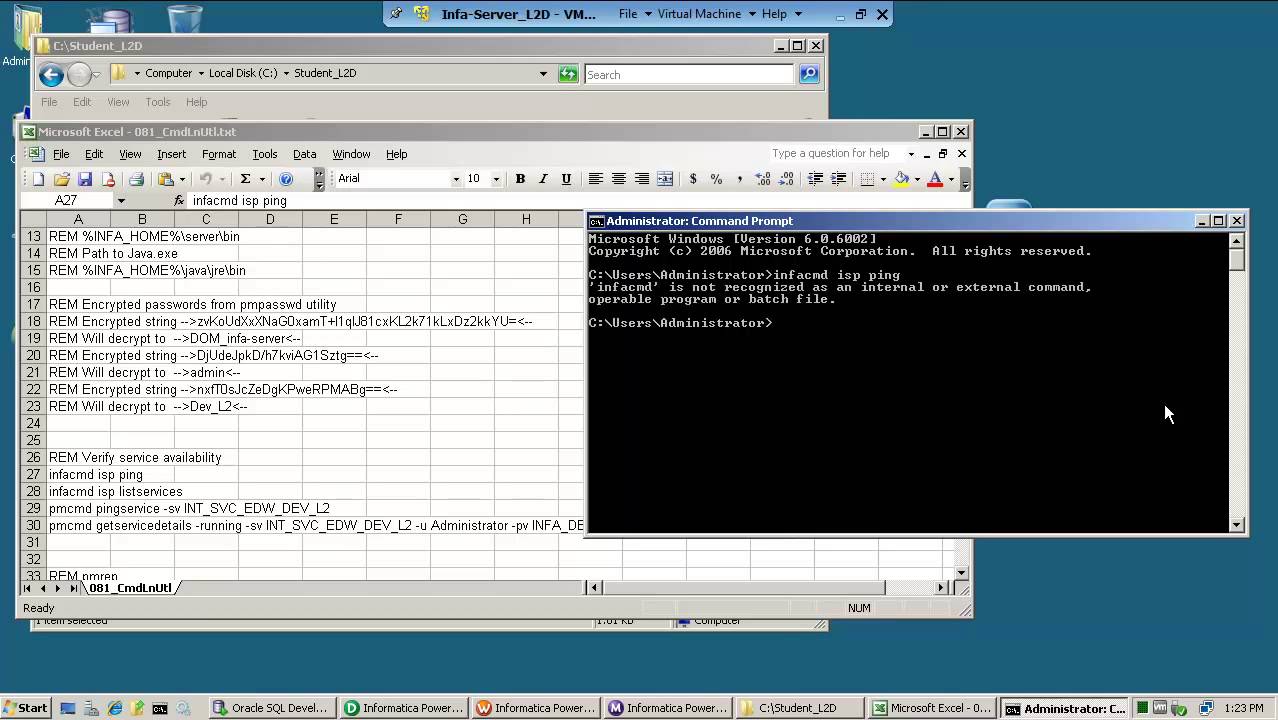 Using Informatica/PowerCenter Command Language
