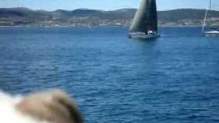 Woof watches Yuuzoo cross the finish line at battery Point Hobart