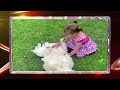 AFV Honorable Mentions Season 32 Episode 14