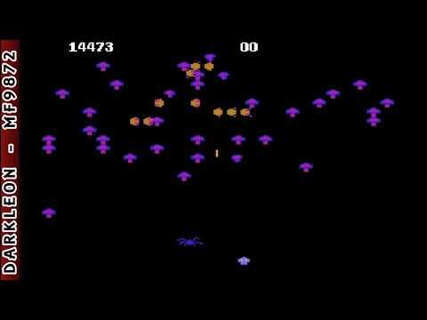 Aarp Centipede