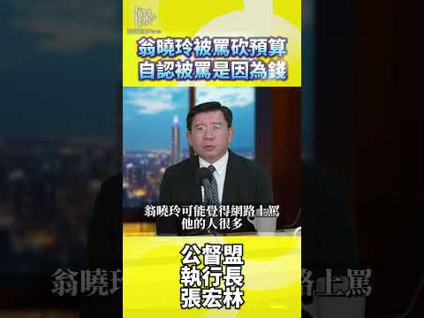 翁曉玲被罵砍預算自認被罵是因為錢