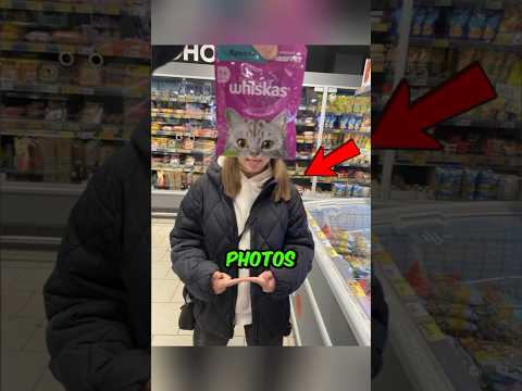 Photos You Have To Look At Twice To Understand🤯#catvideos