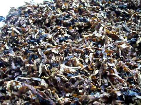 Orlik Tobacco Company - Sweet Dublin pipe tobacco