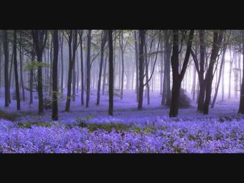 ELA - ELENA DELICHRISTOU