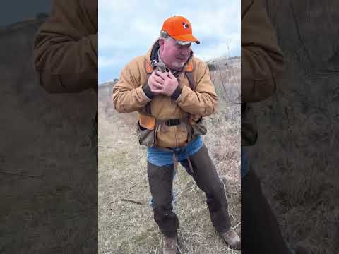 Quail Hunting In Oklahoma! #jtsshotgun #quailhunting #wingshooting #outdoors