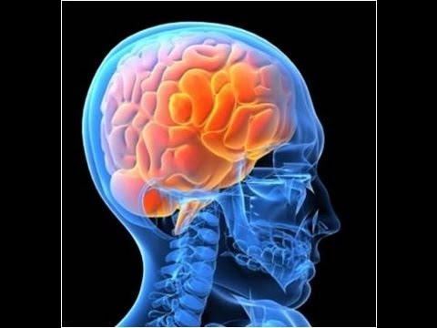 My Discovery in Cancer Research: Dr. Rotem Karni, IMRIC Researcher