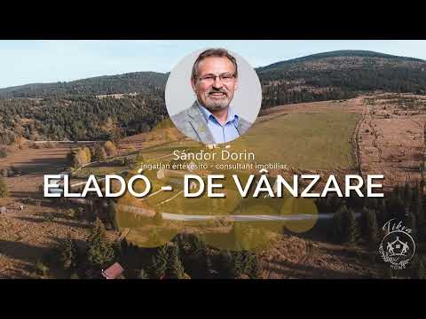 Casa din busteni cu ferma zootehnica si afacere (Tengheler, Com. Ditrau) — Video