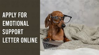 How to apply for an emotional support animal (ESA) letter online | My ESA Doctor