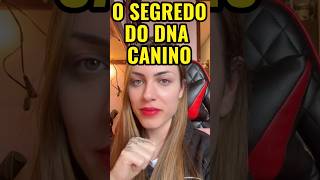 Seu cachorro tem um segredo!