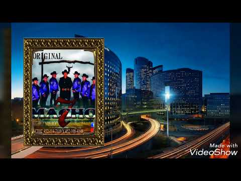 La original Banda 7 Machos de Nurio Michoacan