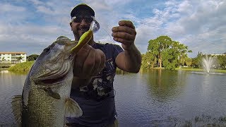 Mystery Tackle Box Slam on a Golf Course Pond!!! BASS FISHING