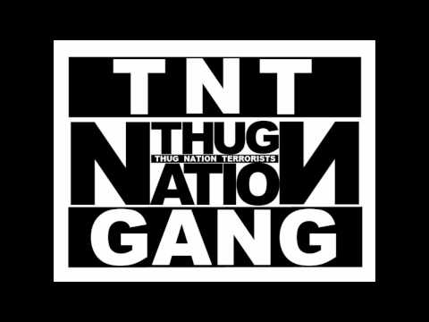 NIKO GEE - STREETWARRIORZ + BIS IN DEN TOD [2008/2009]