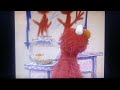 Elmo S World Horses Intro
