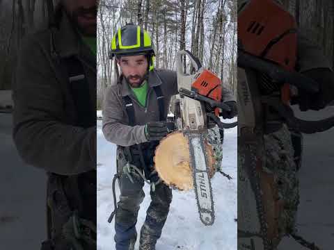 Chainsaw Getting Pinched? JUST DO THIS! #shorts #chainsaw #logging