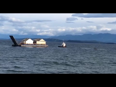 House move delayed after small tugboat capsizes near Comox