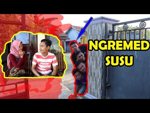 konci-11-komedi-ngapak-cilacap-ngremed-susu