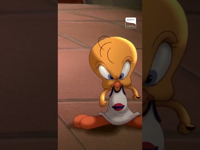 Vídeo relacionado con SD toys Estuche Ovalado Welcome To The Jam Space Jam Looney Tunes, Talla única