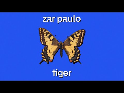 Zar Paulo - Tiger (Lyrikvideo)
