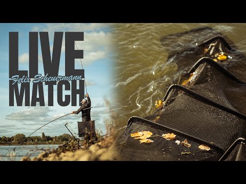 Felix Scheuermann in MATCH - Feeder fishing in the river