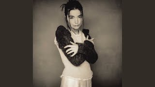 björk : Ammæli