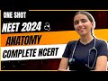 NEET 2024 Anatomy In One Shot Class 11 Biology