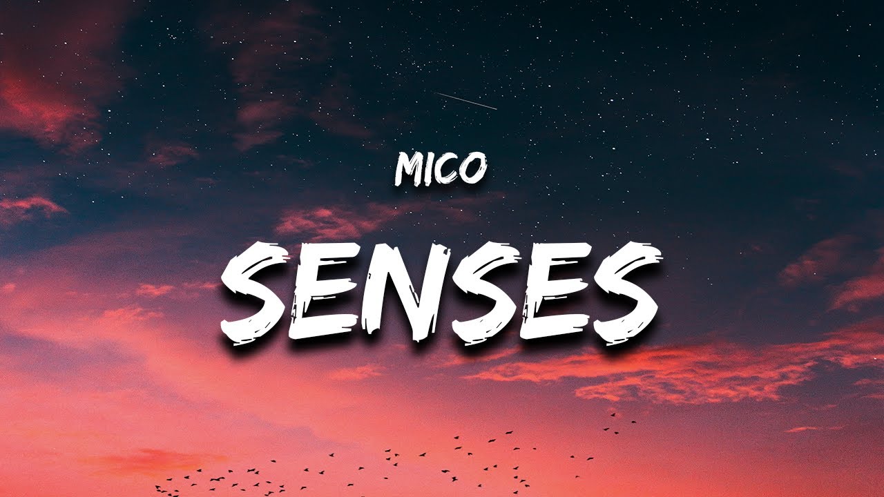MICO - Senses (Lyrics)