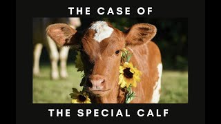 &quot;The Case of the Special Calf&quot; - Pastor N Carrington